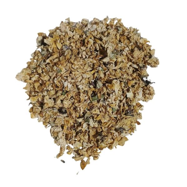 ROSA BRANCA FLOR PARA CH� - (ROSA CENTIFOLIA)